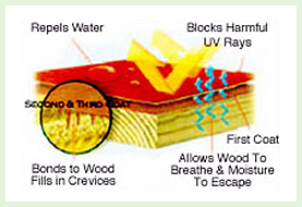 Sealing Layers